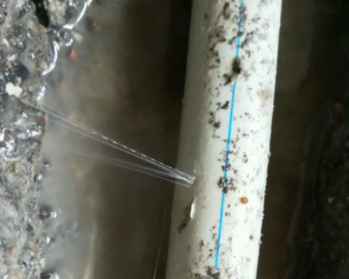 讷河卫生间测漏水多少钱